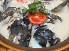 -全乐鱼馆·淳牌有机鱼直营店