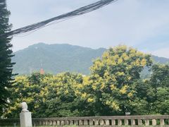 -西南政法大学(沙坪坝校区)