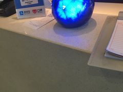 -菩提树·素食餐厅(汇智国际商业中心店)