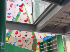 -绿壁虎攀岩基地(Tcar店)