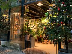 -自由生长植物工作室(深港花卉中心店)