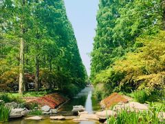 -东平国家森林公园