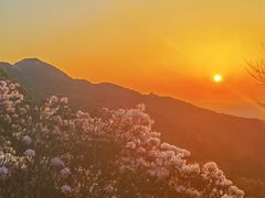 -梧桐山风景名胜区