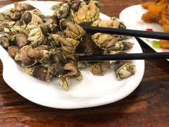 鸡爪螺（佛爪螺）-四季美蚝皇