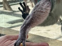 -水上乐园·欢乐世界