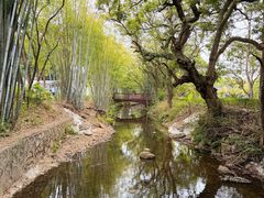 -林丰温泉度假山庄