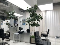 -Hair  Gallery