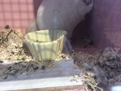 -藦茜花园宠物主题亲子互动体验馆(国顺东路店)