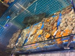 -曼格活海鲜·牛排自助(光明蓝鲸店)