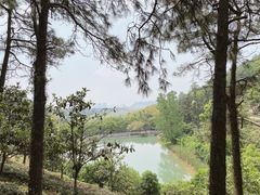 -九龙潭景区