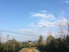 -紫颐香薰山谷景区