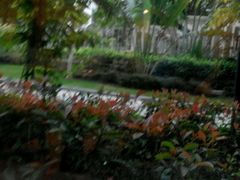 -斑斓西餐厅·自助茶点(高崎机场佰翔花园酒店)