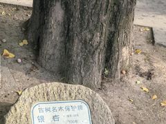 -汇龙潭