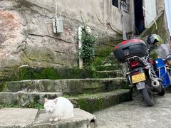 -南山植物园