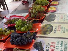 -马陆小张葡萄园农家乐