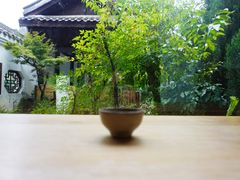 -知亘茶食