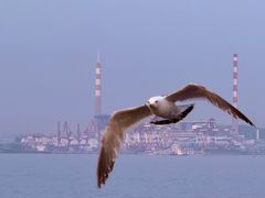 -悦海公园