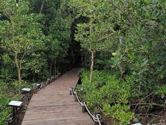 -东寨港红树林旅游区