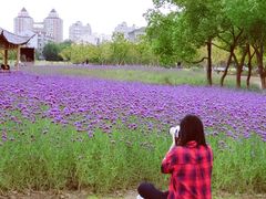 -杭州城北体育公园