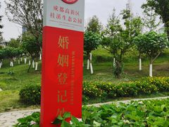 -桂溪生态公园