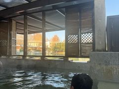 -春晖园度假酒店温泉