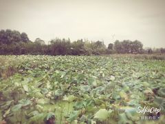 -池州市平天湖风景区