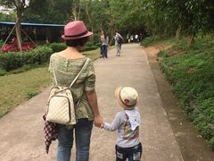 -广东茂名森林公园