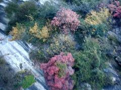 -少华山国家森林公园