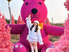 -大塘金香草谷