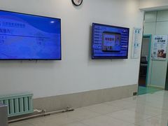 -北京观赏动物医院·24小时大型综合·猫专科·异宠专科