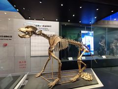 -周口店北京人遗址公园