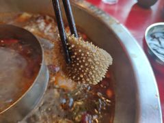 谭公脆毛肚-谭鸭血老火锅(漳州路店)