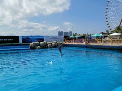 -三亚海昌梦幻海洋不夜城