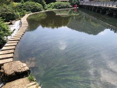 -贵阳市花溪国家城市湿地公园