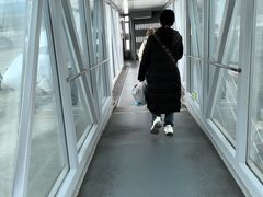 -宜春明月山机场