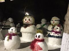 -人民防洪胜利纪念塔