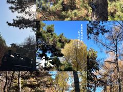 -长春市南湖公园