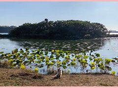 -丁香湖公园