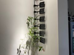 -the fall kaffe乐否咖啡