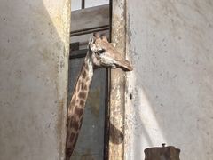 -石家庄市动物园