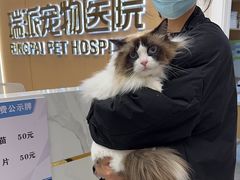 -瑞派康怡24h宠物医院·犬猫医疗中心·微创绝育(瑞景分院)