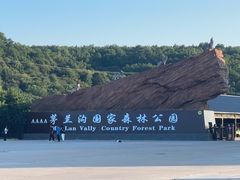 -茅兰沟国家森林公园