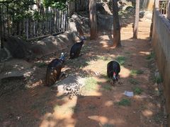 -昆明动物园