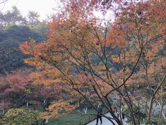 -岳麓山风景名胜区