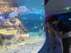 -沙沙哗啦海洋馆(华宇百花谷店)