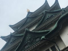 -名古屋城