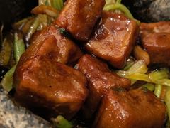 -沪碟·精菜坊(闵行店)