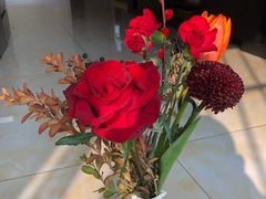 -植物学家的女儿(北马道巷店)