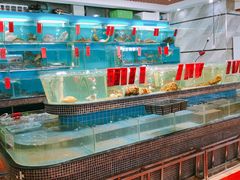-海大大蒸汽海鲜餐厅·粤菜·特色小炒(欢乐颂店)