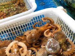 -王四营海鲜市场